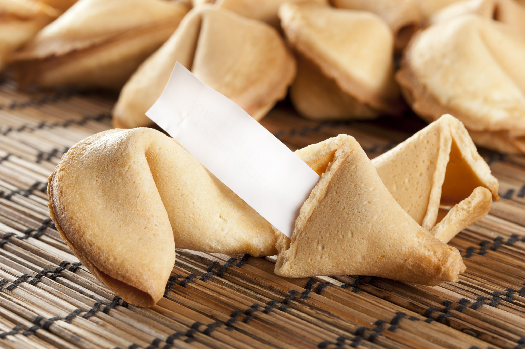 Fresh Made Fortune Cookie against a background