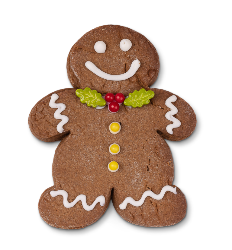 Happy National Gingerbread Cookie Day! Carolina Cookie Company