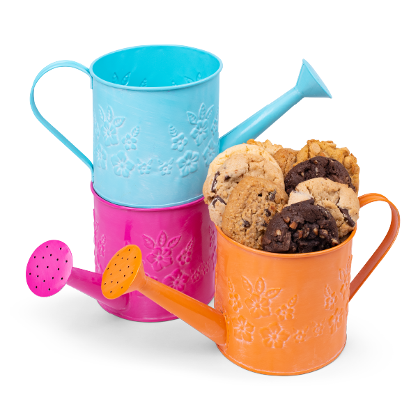 Spring & summer gift - delicious cookies in a watering can perfect for a new home housewarming or a gift for garden lovers by Carolina Cookie